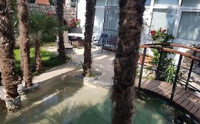 Beautiful View Apt 3